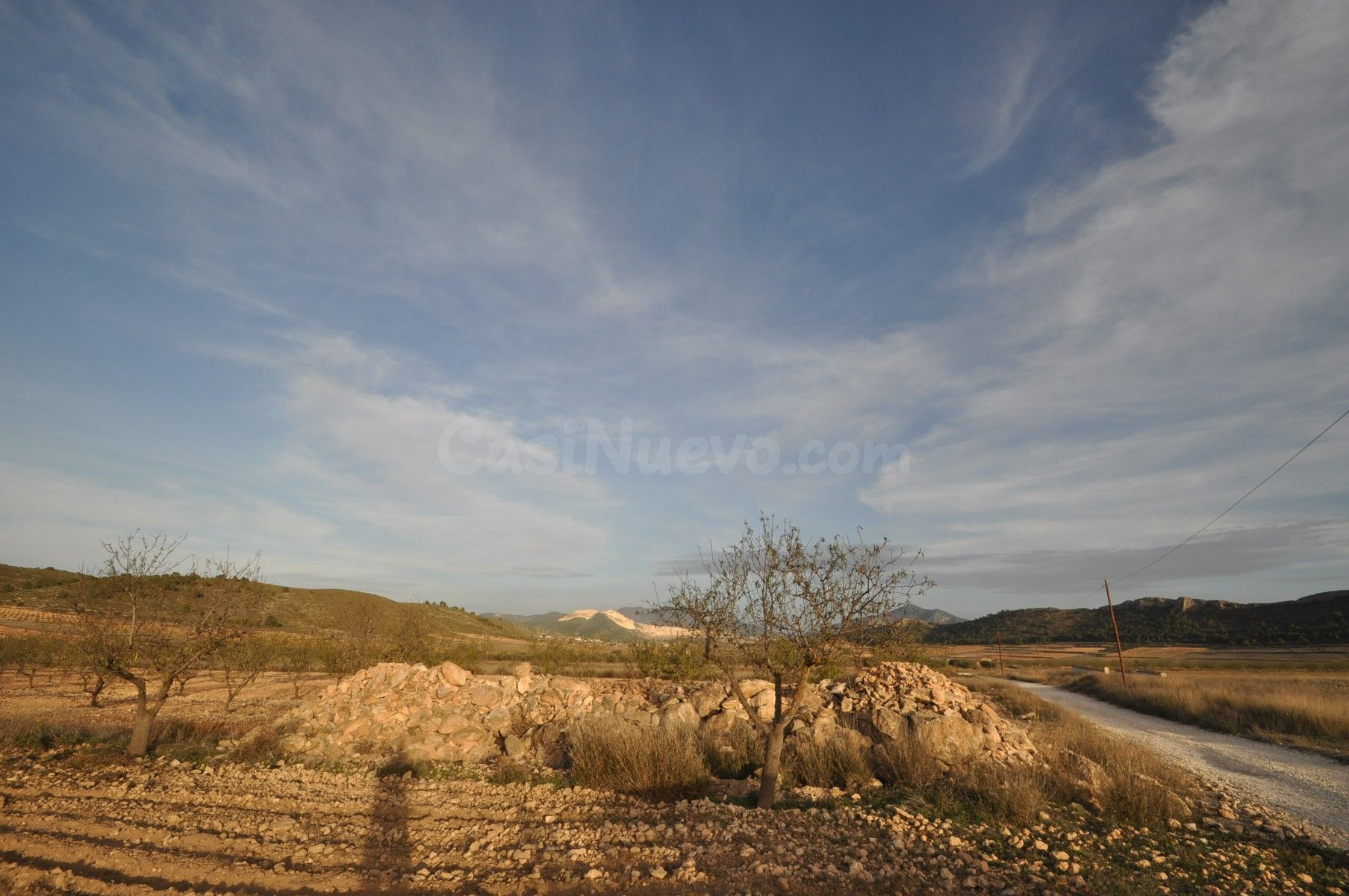 Parcela en venta - Abanilla - foto 5