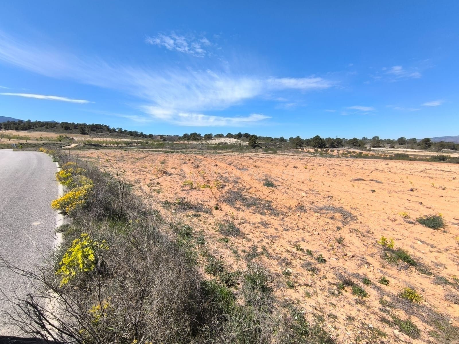 Parcela en venta - Jumilla - foto 2