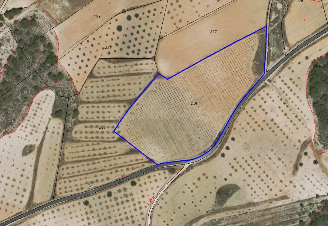 Parcela en venta - Jumilla - foto 4
