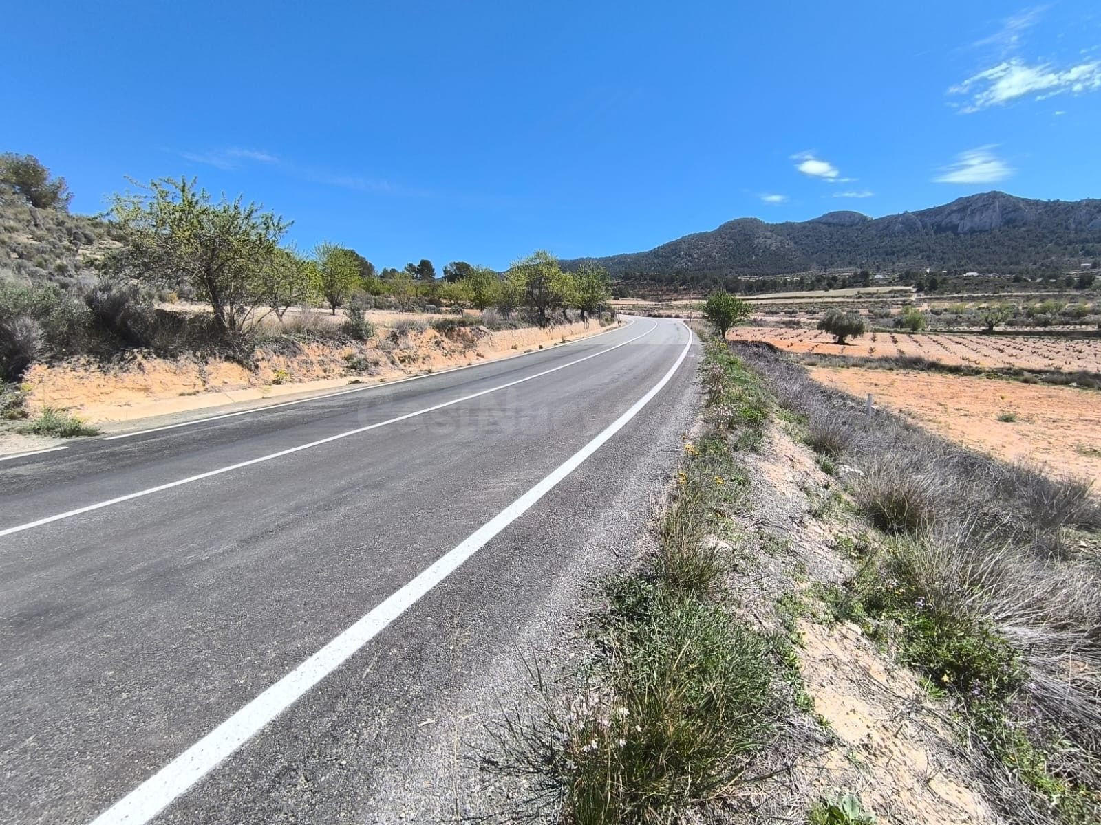 Parcela en venta - Jumilla - foto 2