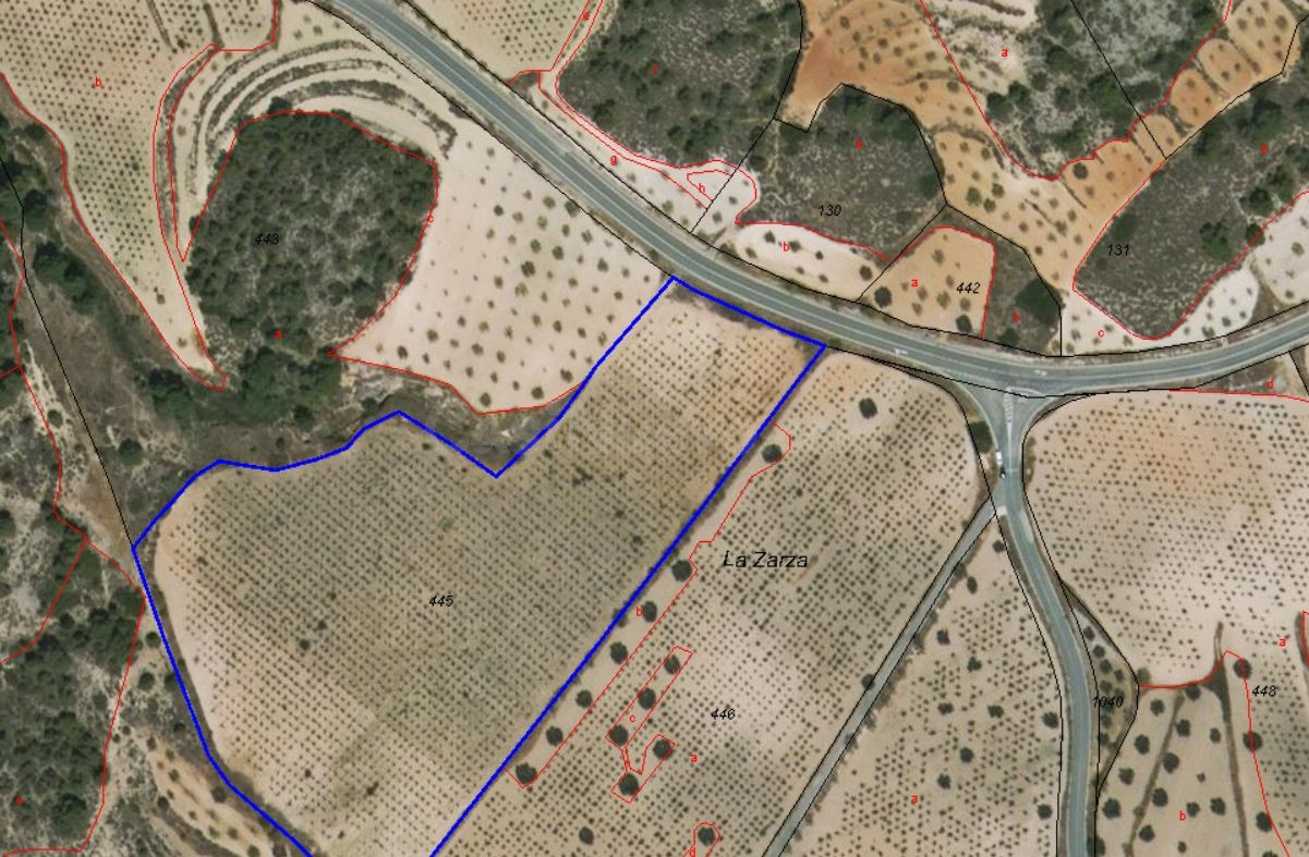 Parcela en venta - Jumilla - foto 4