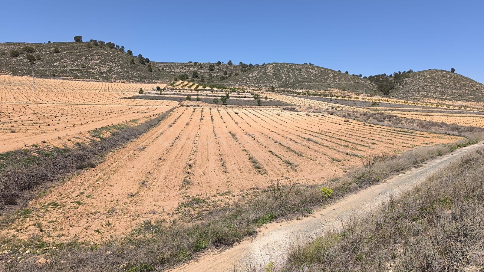 Parcela en venta - Abanilla - foto 3