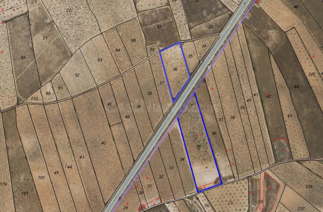 Parcela en venta - Abanilla - foto 4