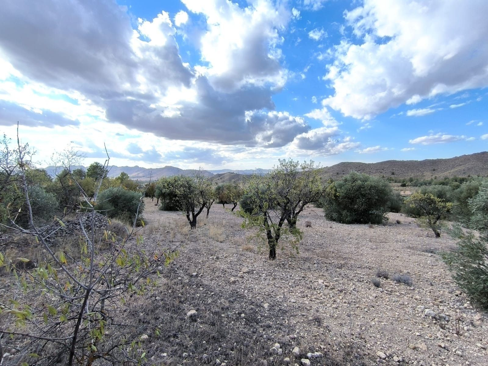 Parcela en venta - Ayuntamiento - foto 2
