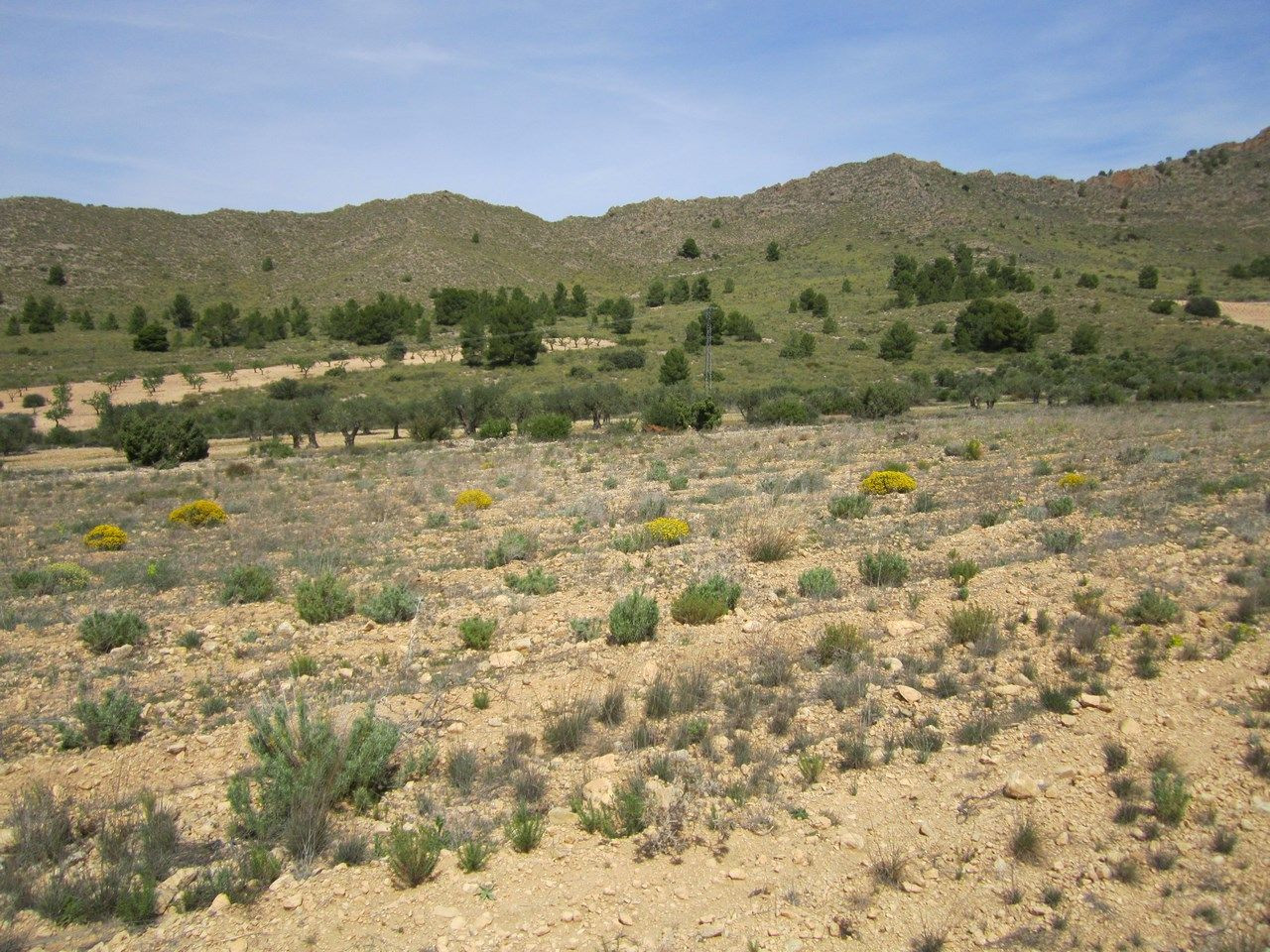 Parcela en venta - Ayuntamiento - foto 2