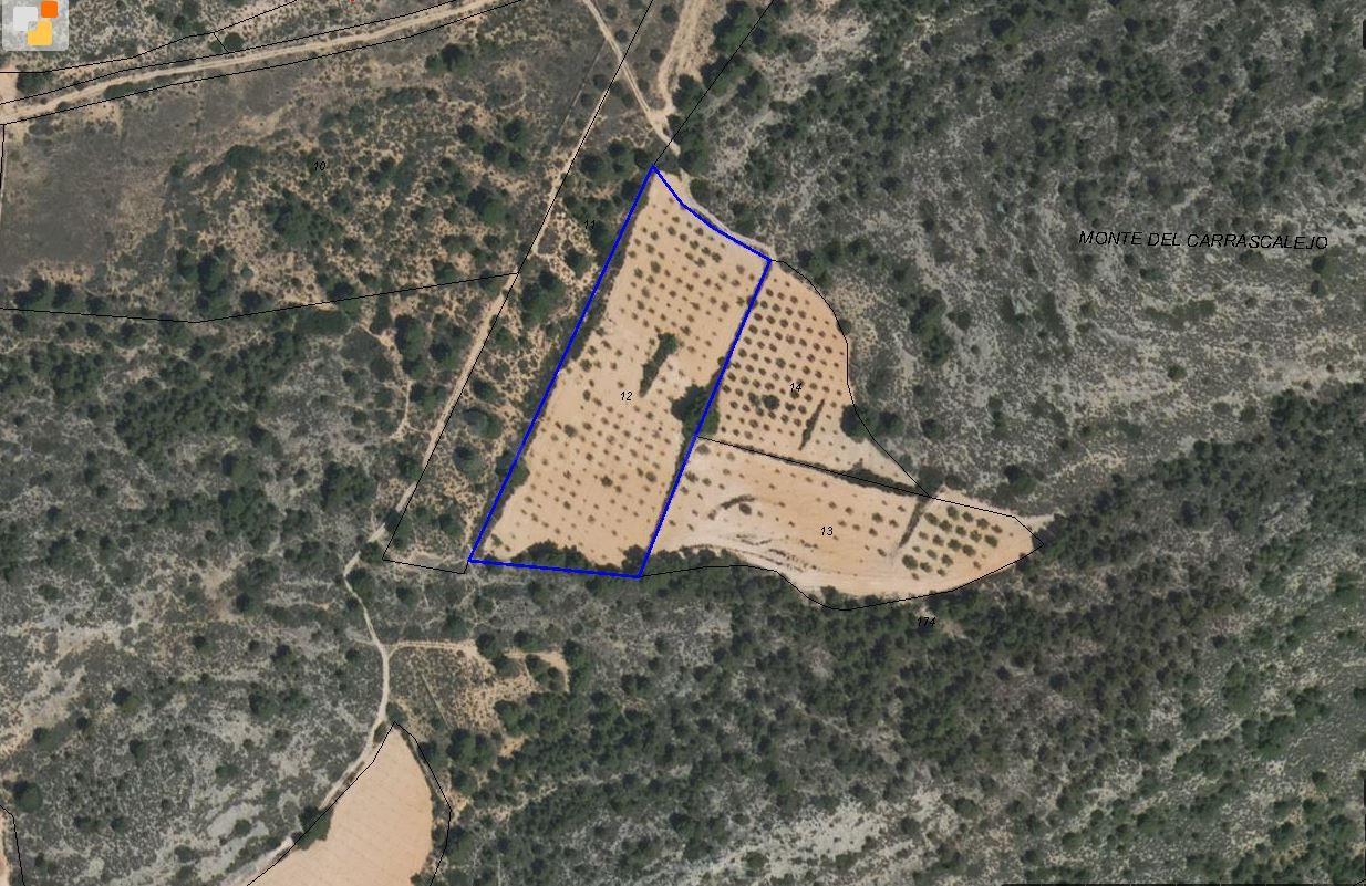 Parcela en venta - Ayuntamiento - foto 3