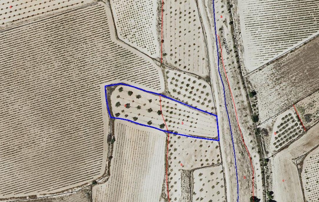Parcela agrícola en venta - Pinoso, Comunidad Valenciana - foto 5