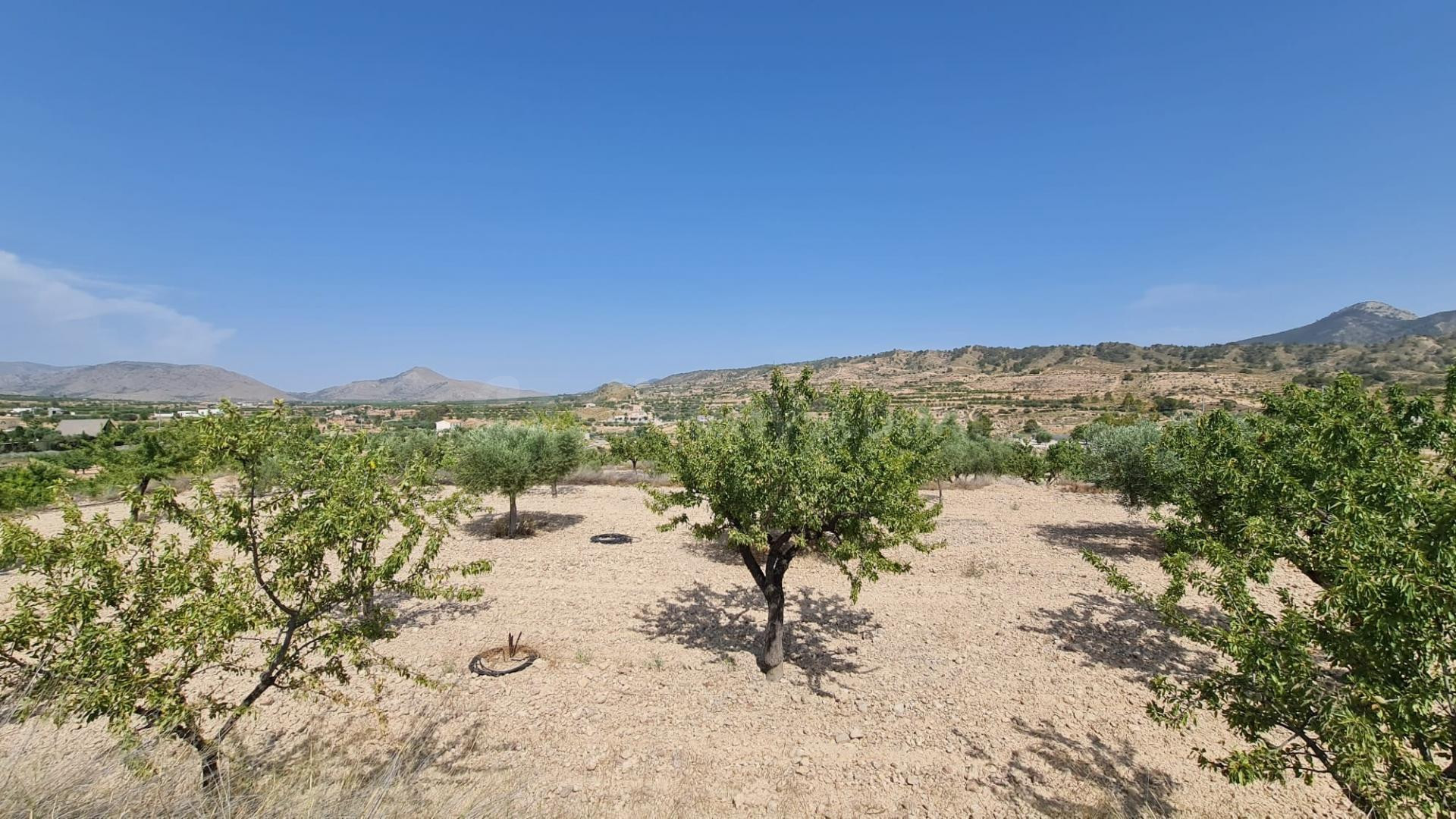 Parcela en venta - Macisvenda - foto 5