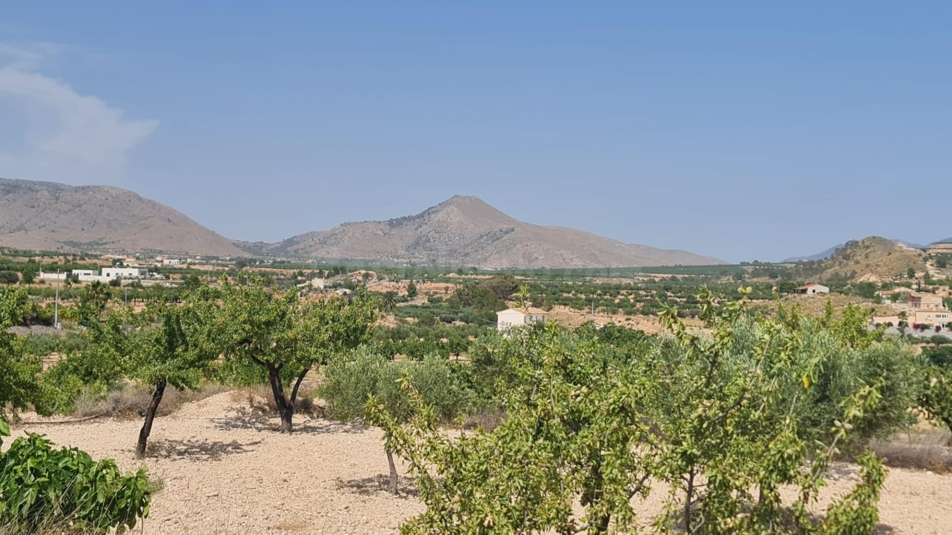 Parcela en venta - Macisvenda - foto 4