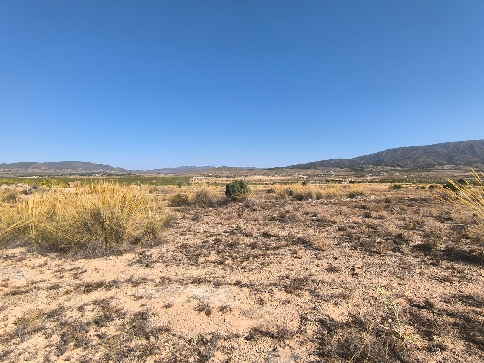 Parcela en venta en Pinoso, Comunidad Valenciana - foto 4
