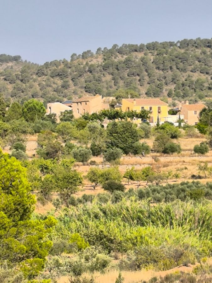 Finca de Recreo 300m² en venta - Comunidad valenciana - foto 2