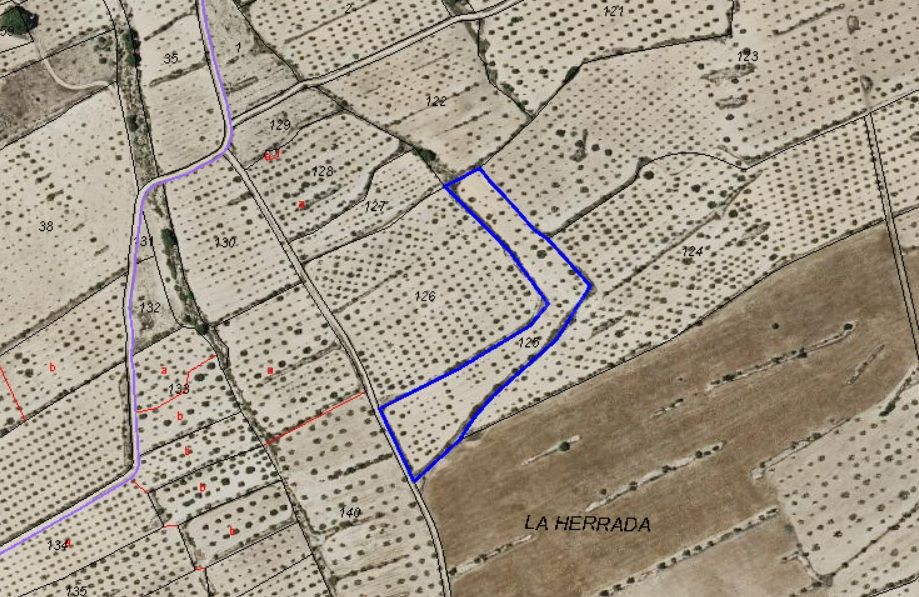 Parcelas rurales en venta en Pinoso, Comunidad Valenciana - foto 5