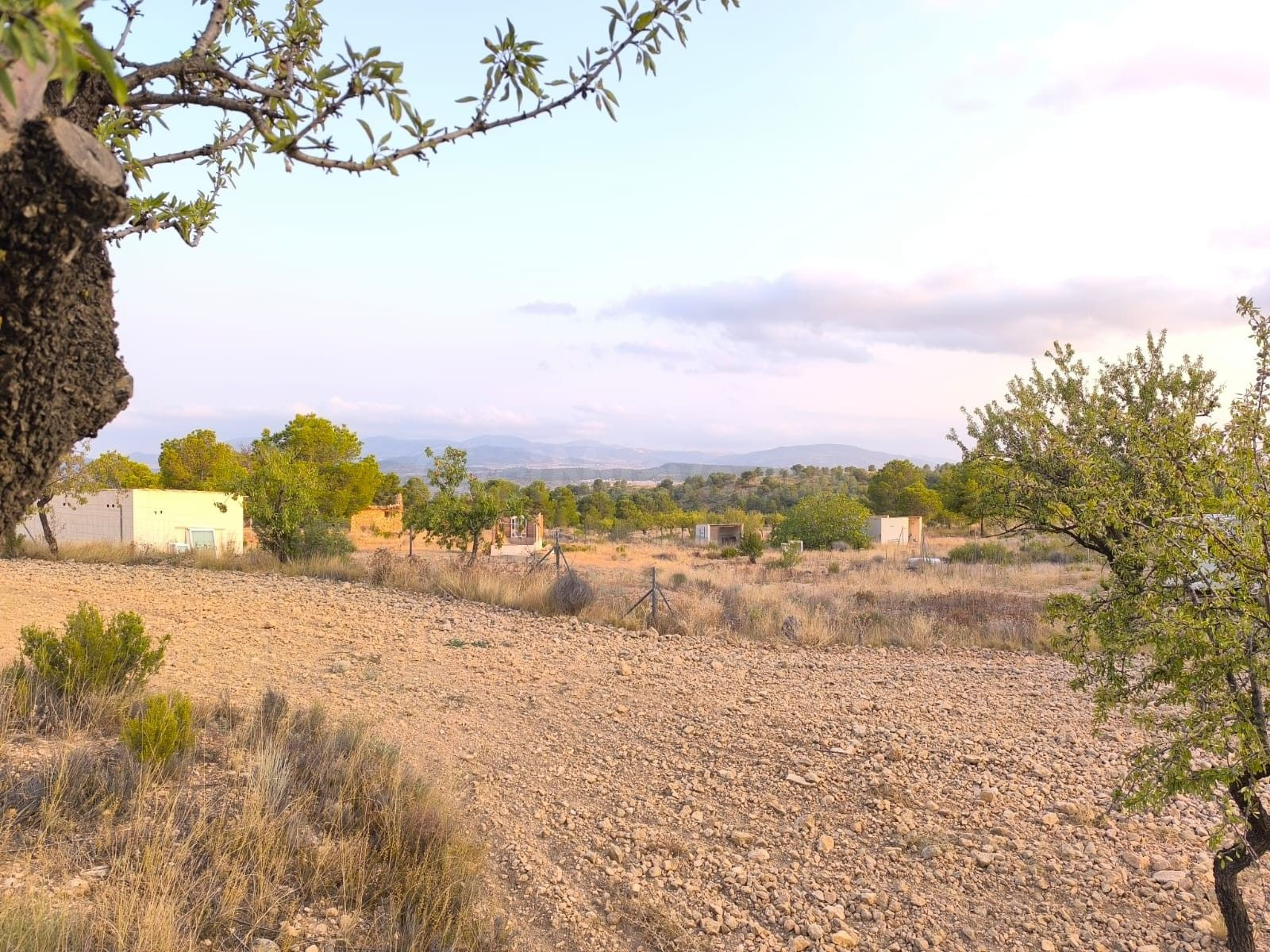 Finca en Pinoso, Alicante - Terreno con vistas a la montaña - foto 4