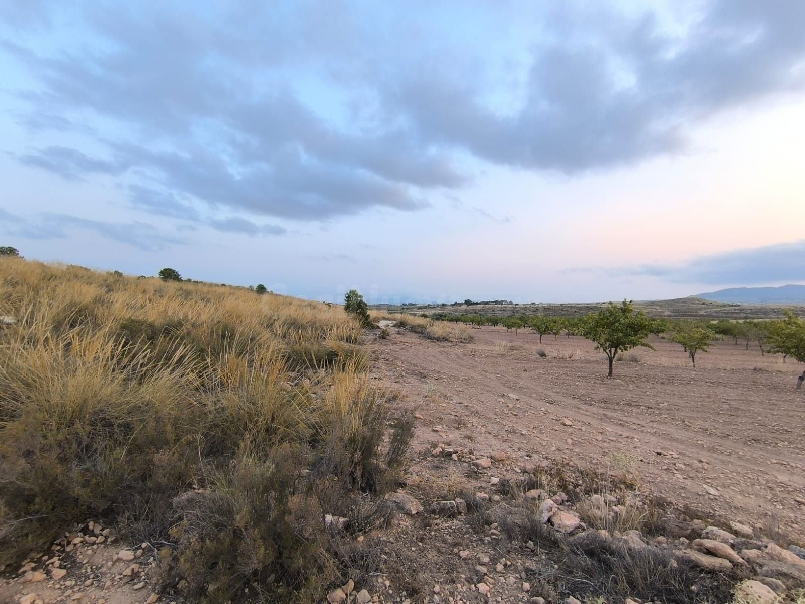 Parcela 2m² en venta - Comunidad valenciana - foto 4