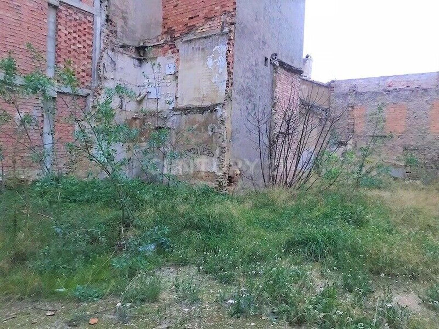 Terreno rural en venta - Centro - foto 2