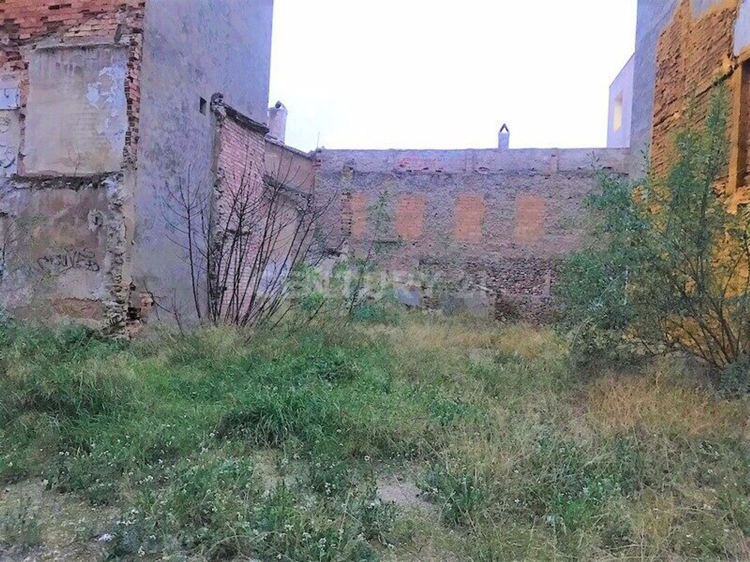 Terreno rural en venta - Centro - foto 3