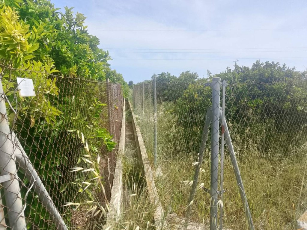 Apartamento en Venta en Gandia Valencia - foto 4