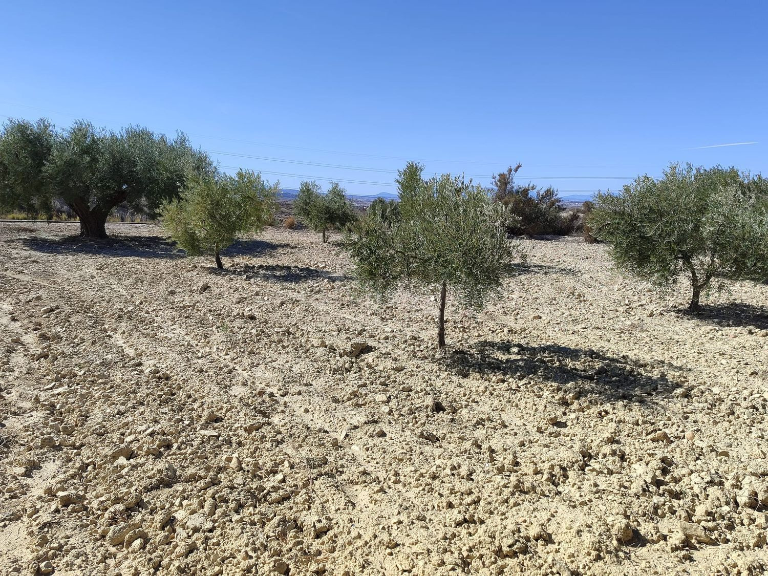 Terreno rural en venta - TOLLE - foto 3