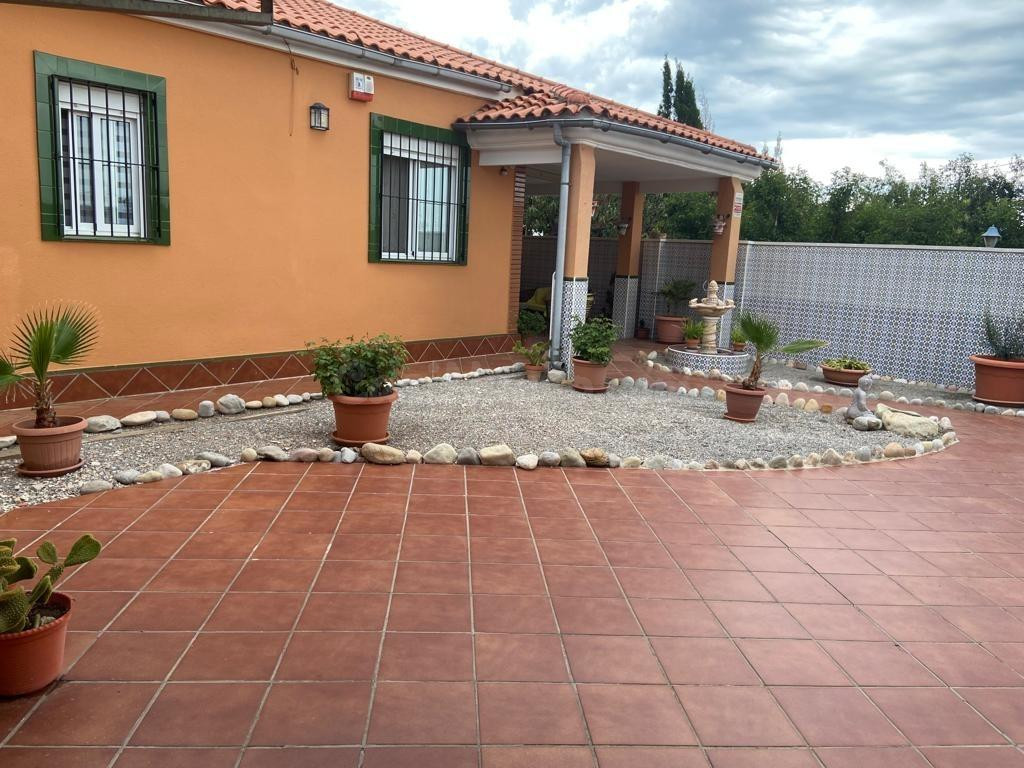 Chalet 3 habitaciones 165m² en venta - El Madrigal - foto 4