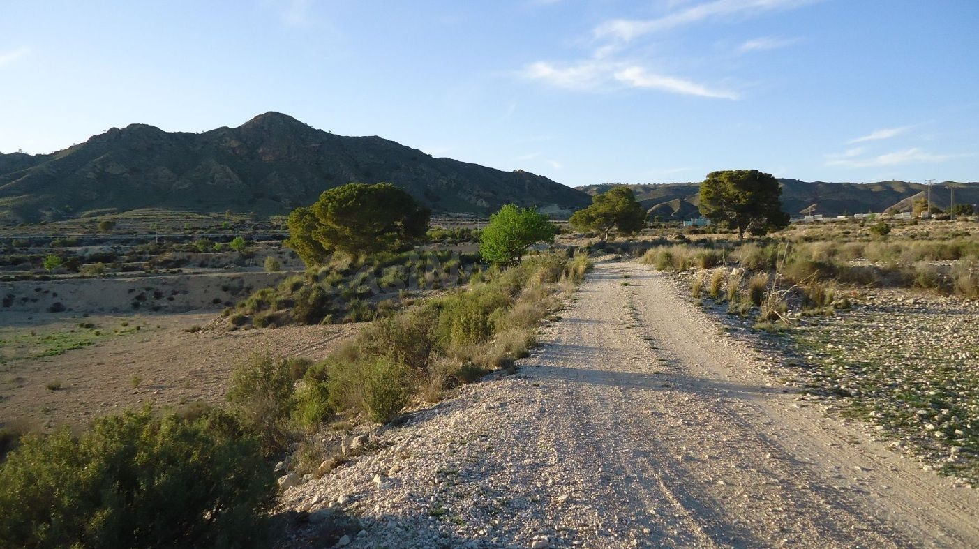 Parcela en venta - Abanilla - foto 2