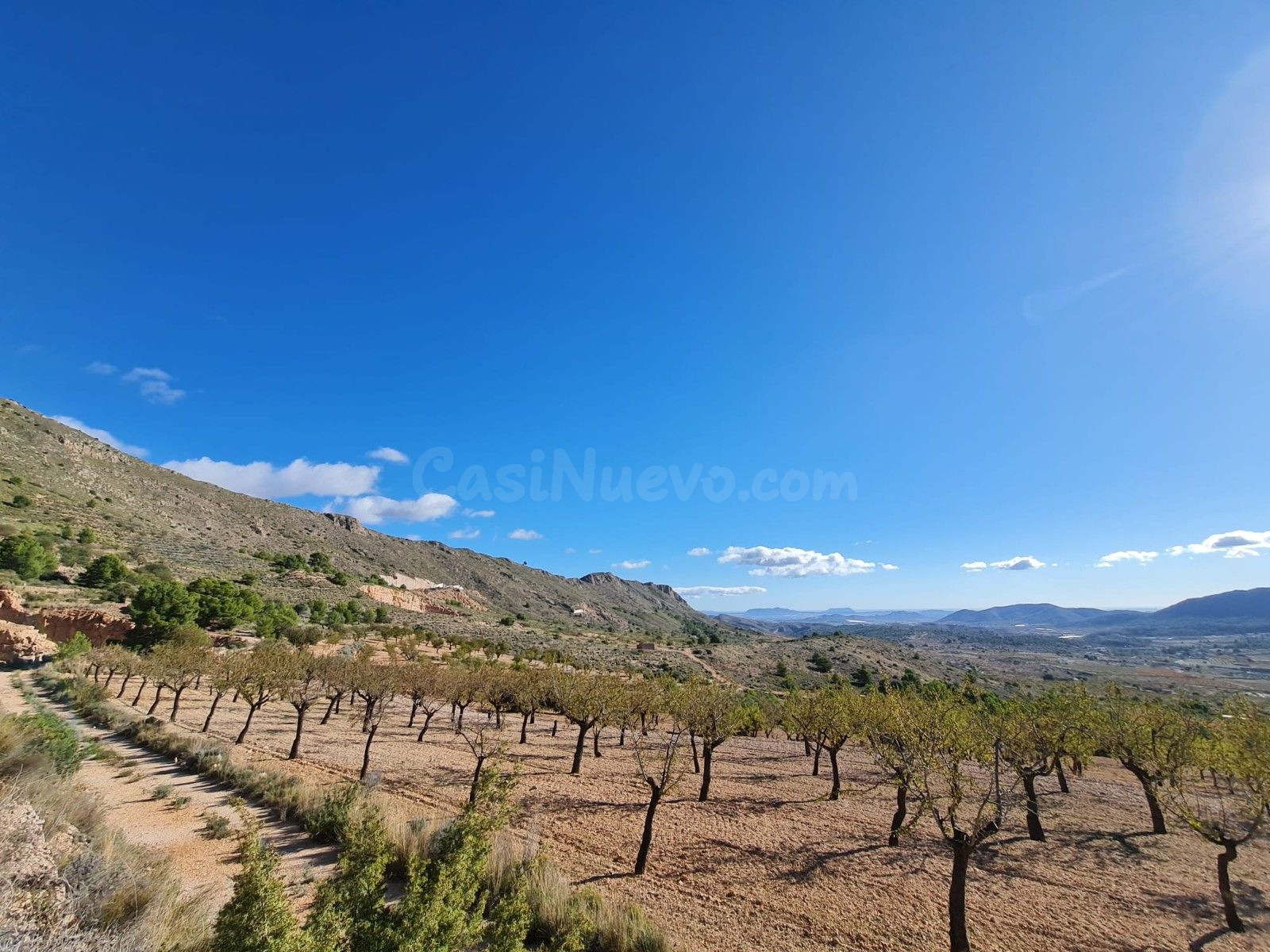 Parcela en la Romana, Comunidad Valenciana - foto 2