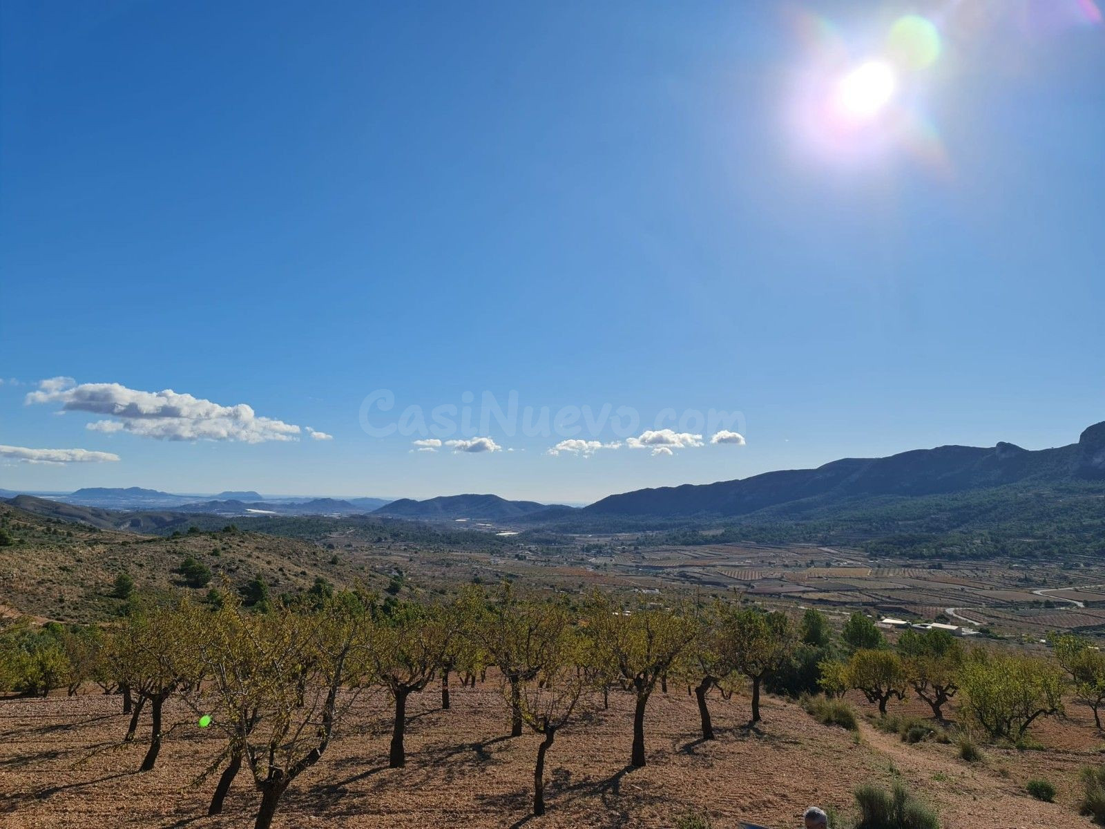 Parcela en la Romana, Comunidad Valenciana - foto 5