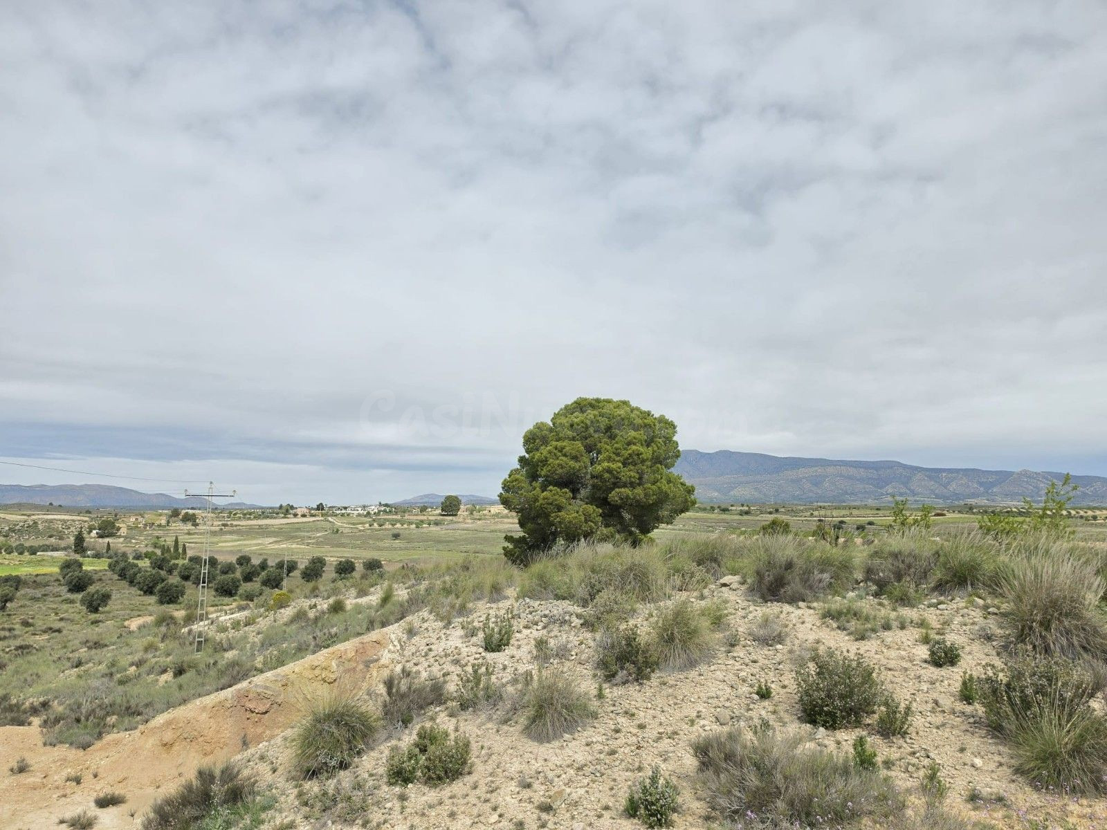 Parcela en venta - Jumilla centro - foto 4