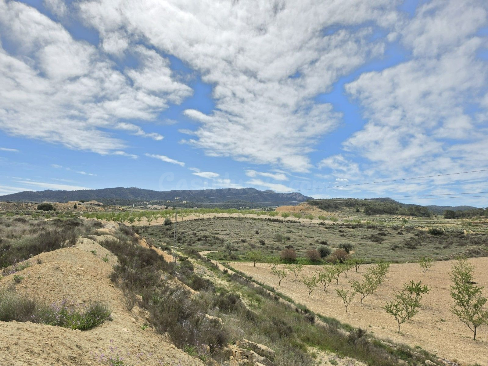 Parcela en venta - Jumilla centro - foto 5