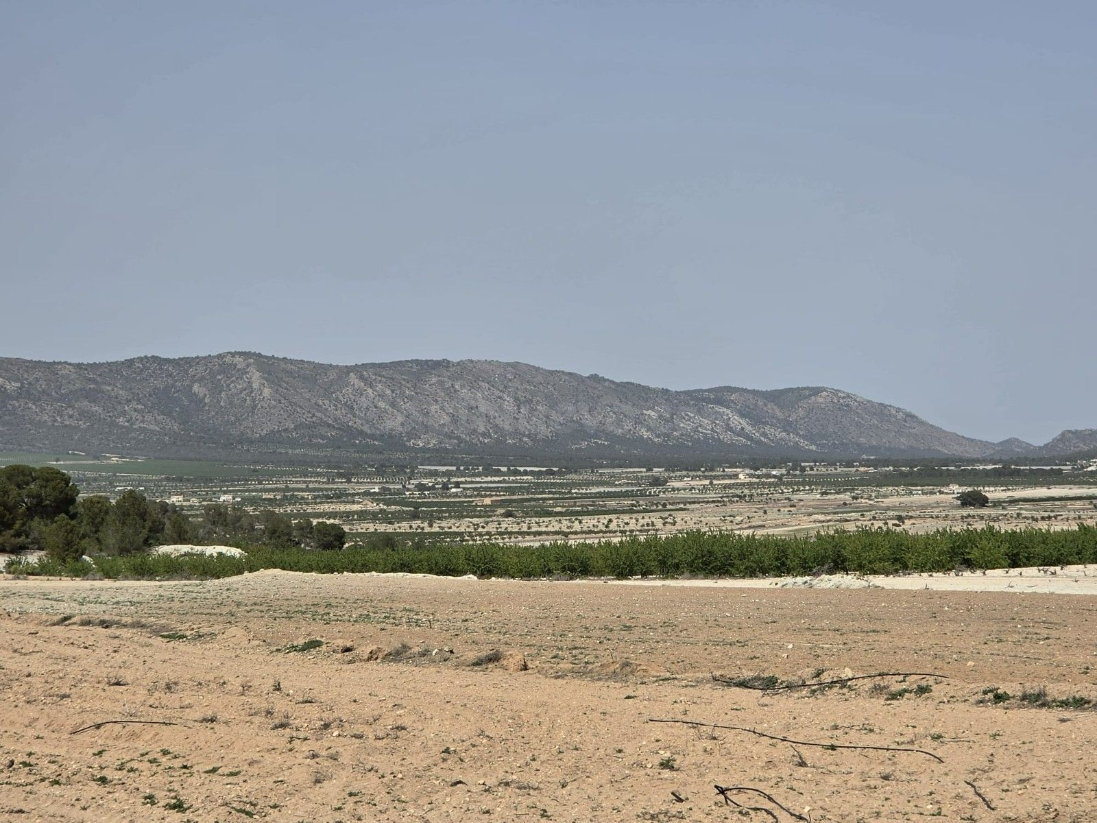 Parcela 560m² en venta - Comunidad valenciana - foto 2