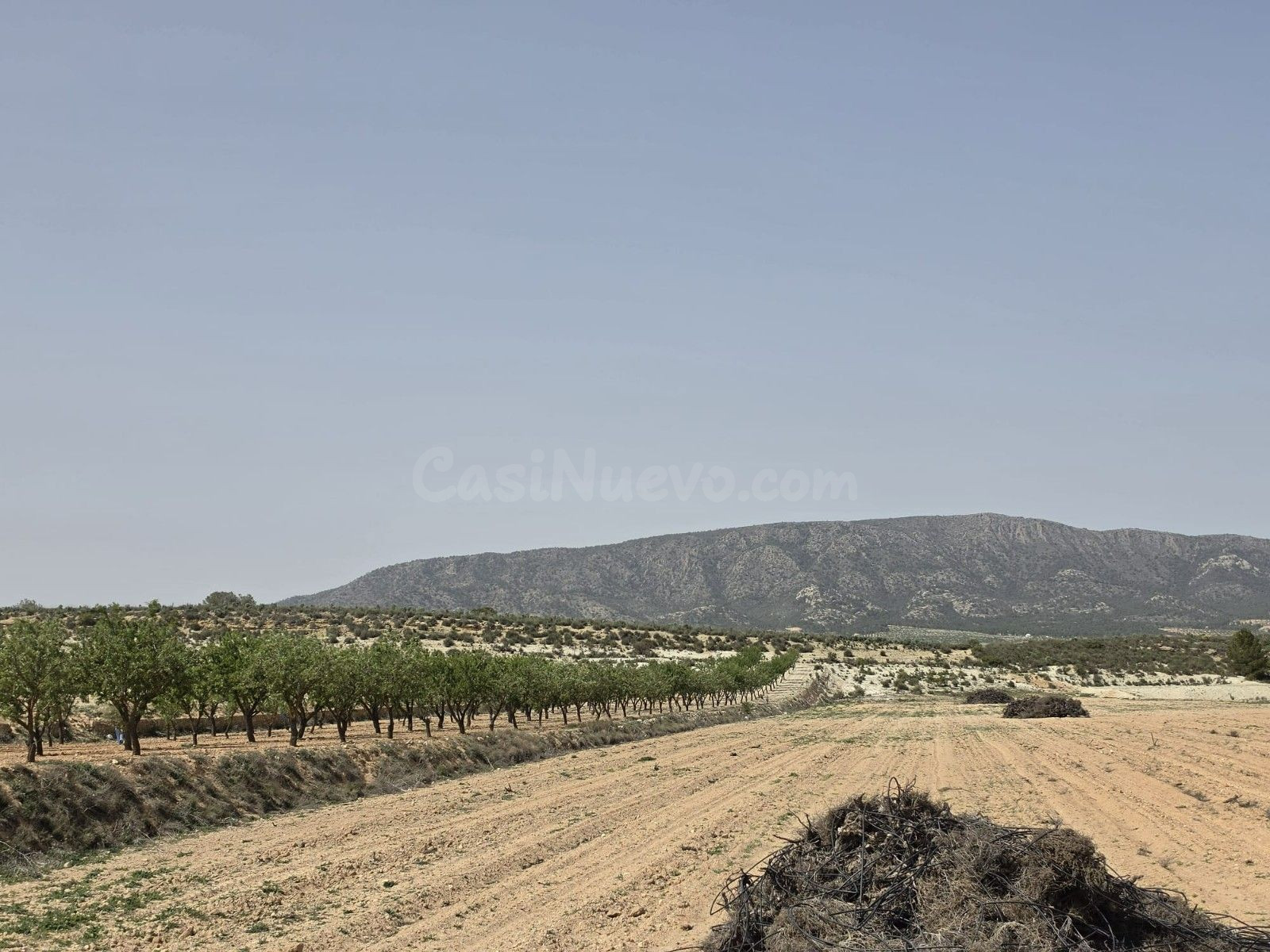 Parcela 560m² en venta - Comunidad valenciana - foto 5