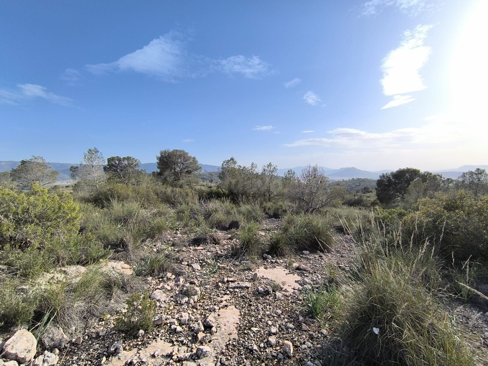 Parcela 999m² en venta - Ayuntamiento - foto 4