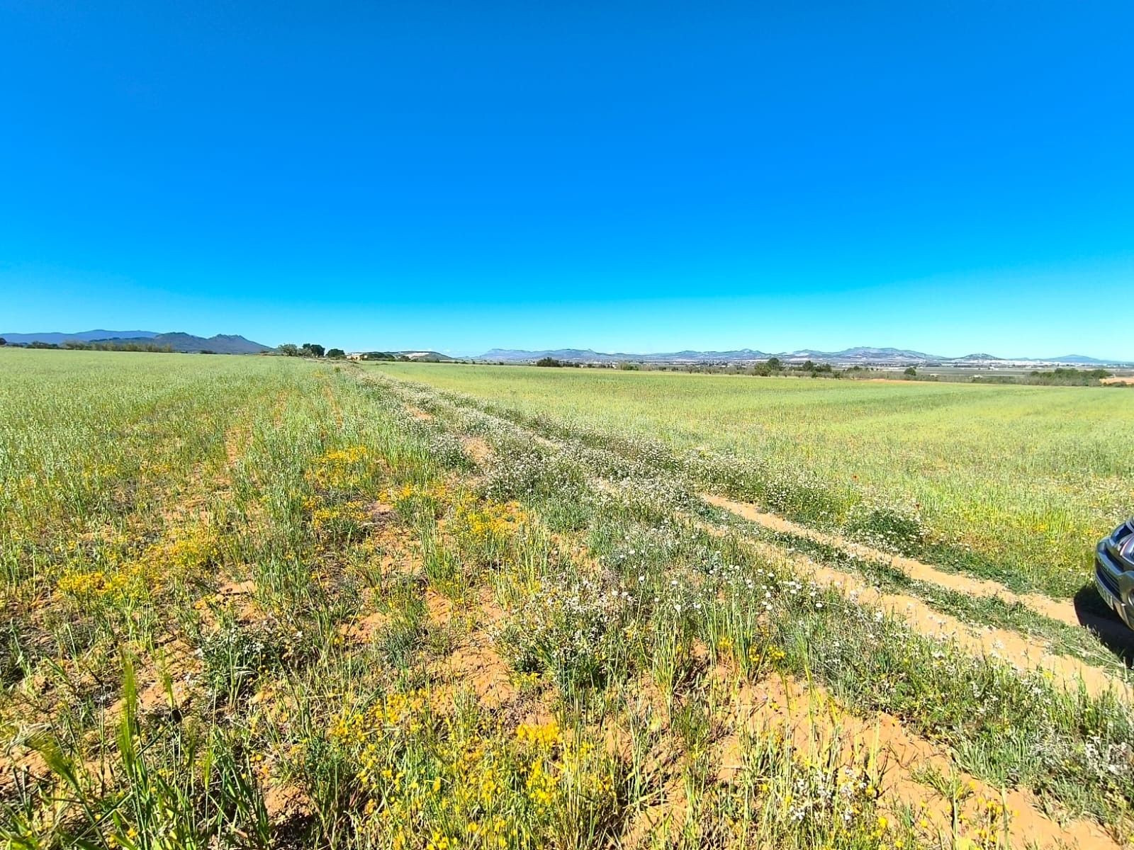 Parcela en venta - Ayuntamiento - foto 5