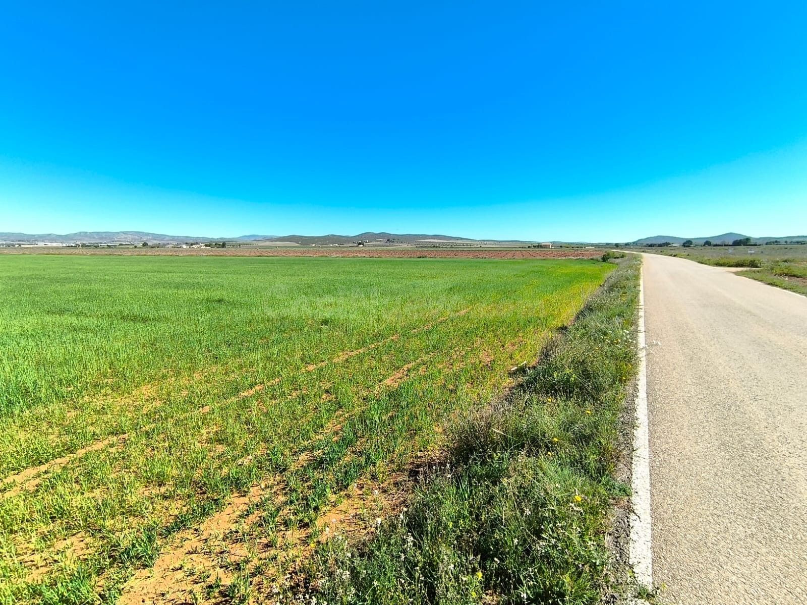 Parcela en venta - Ayuntamiento - foto 2