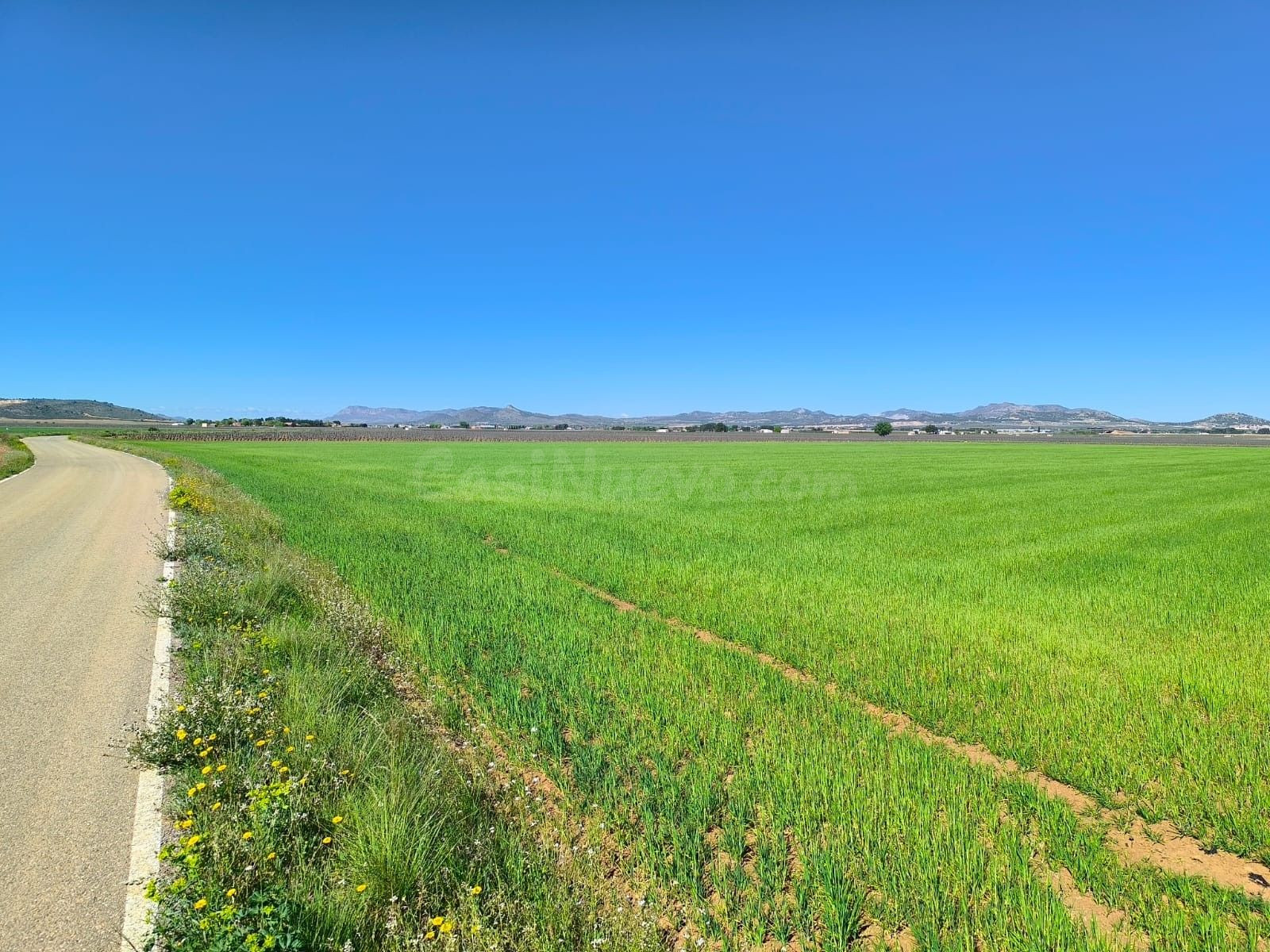 Parcela en venta - Ayuntamiento - foto 3