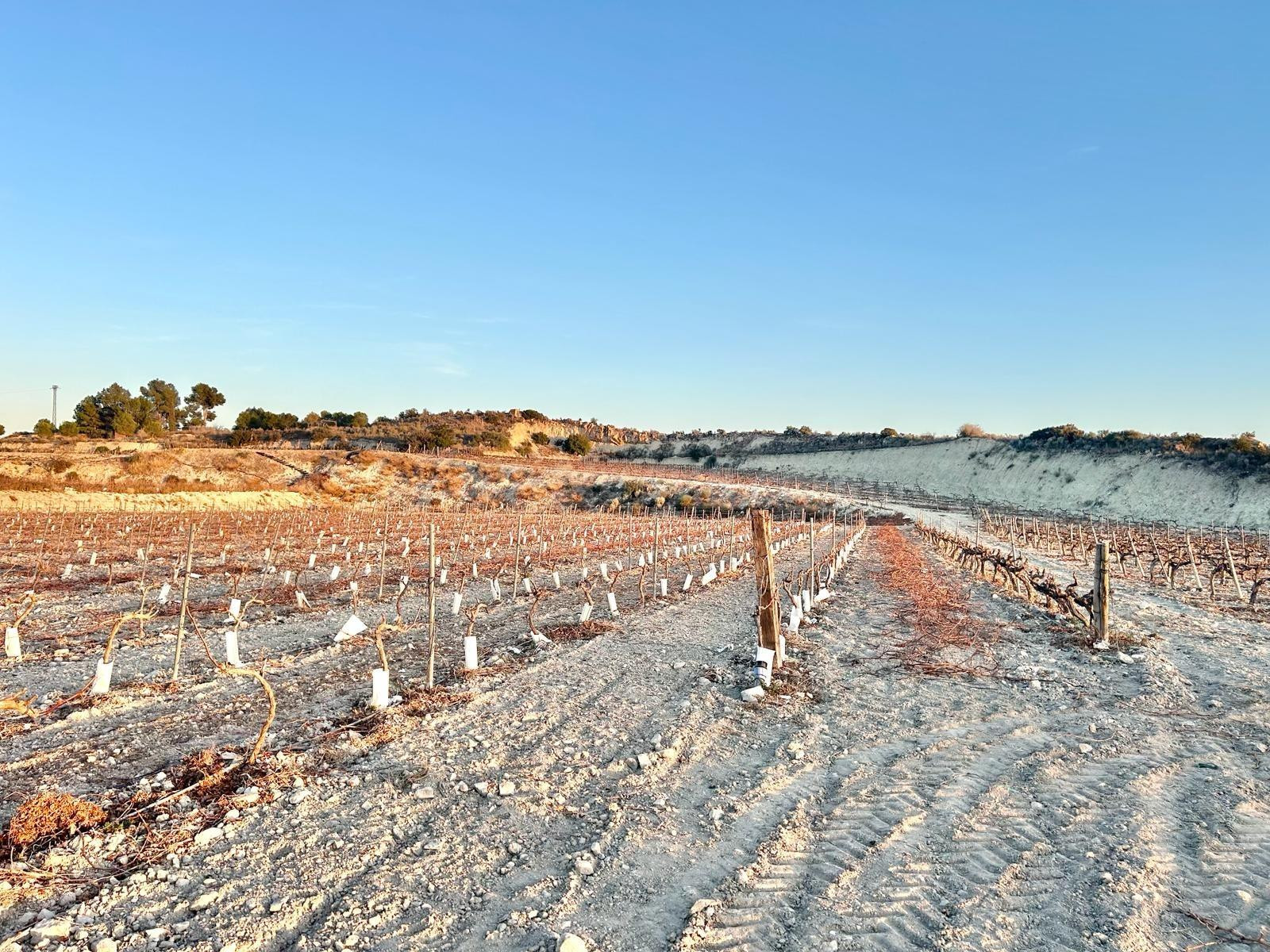 Terreno rural en venta - BETIES - foto 2