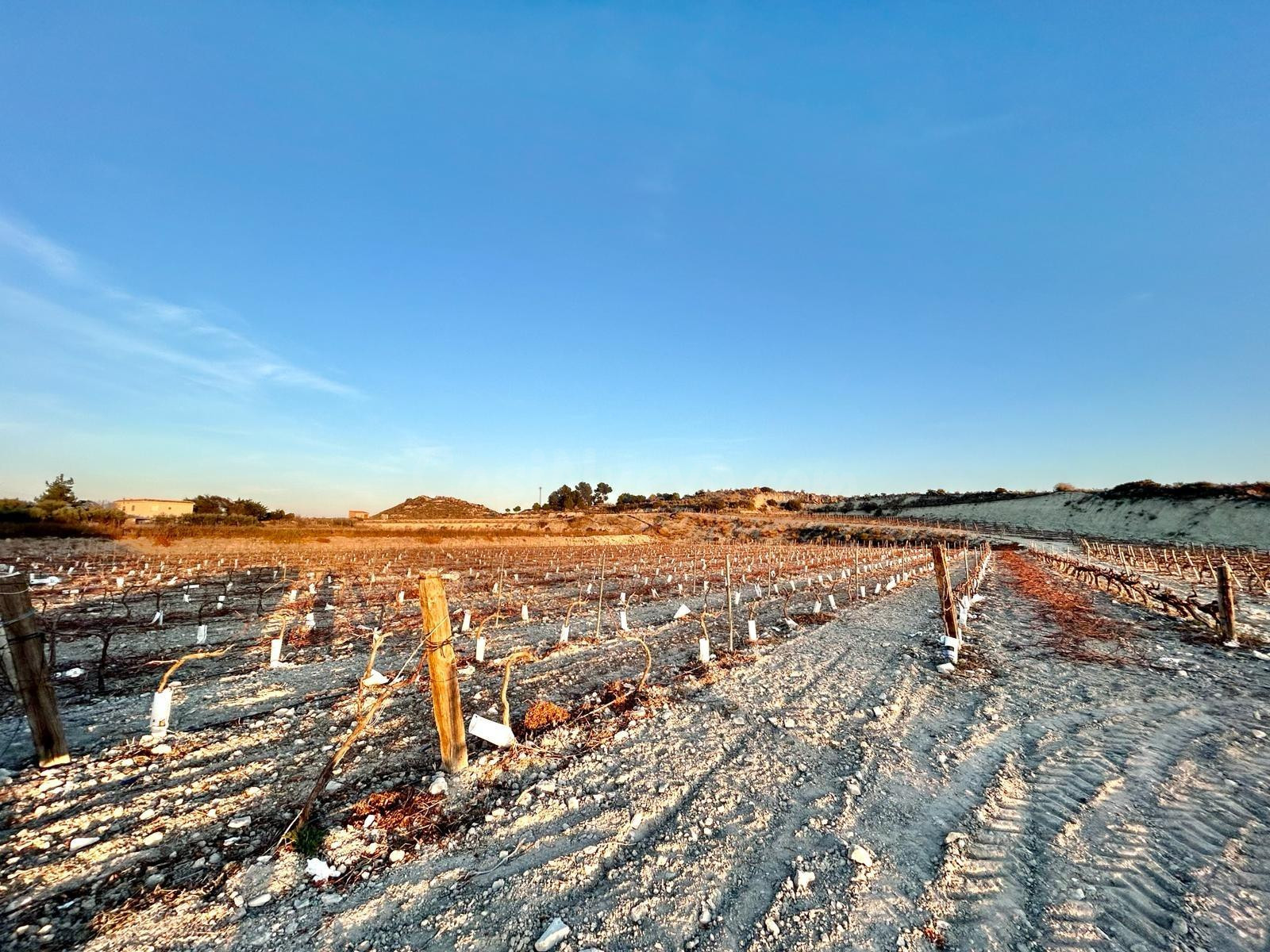 Terreno rural en venta - BETIES - foto 3