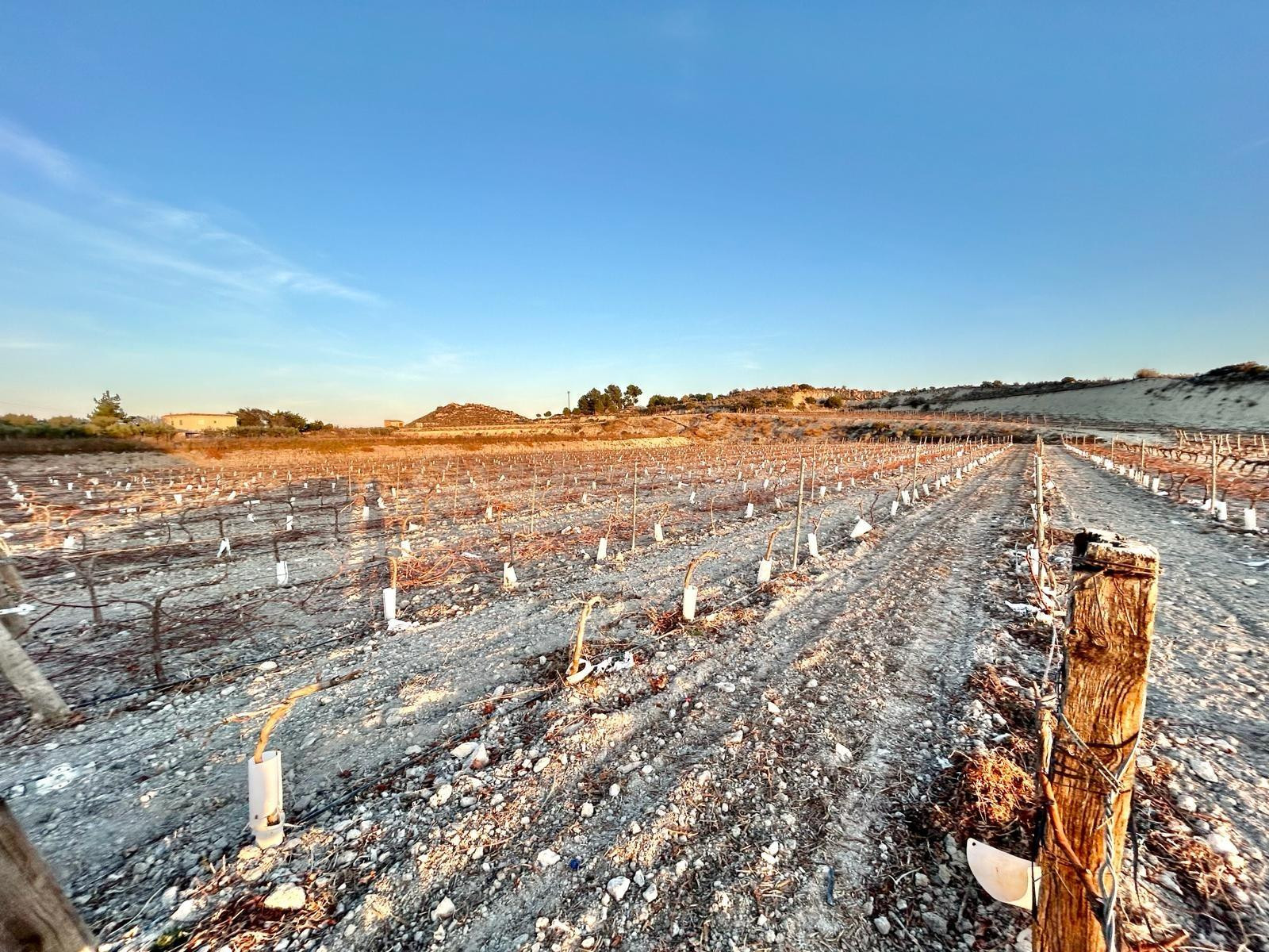Terreno rural en venta - BETIES - foto 4