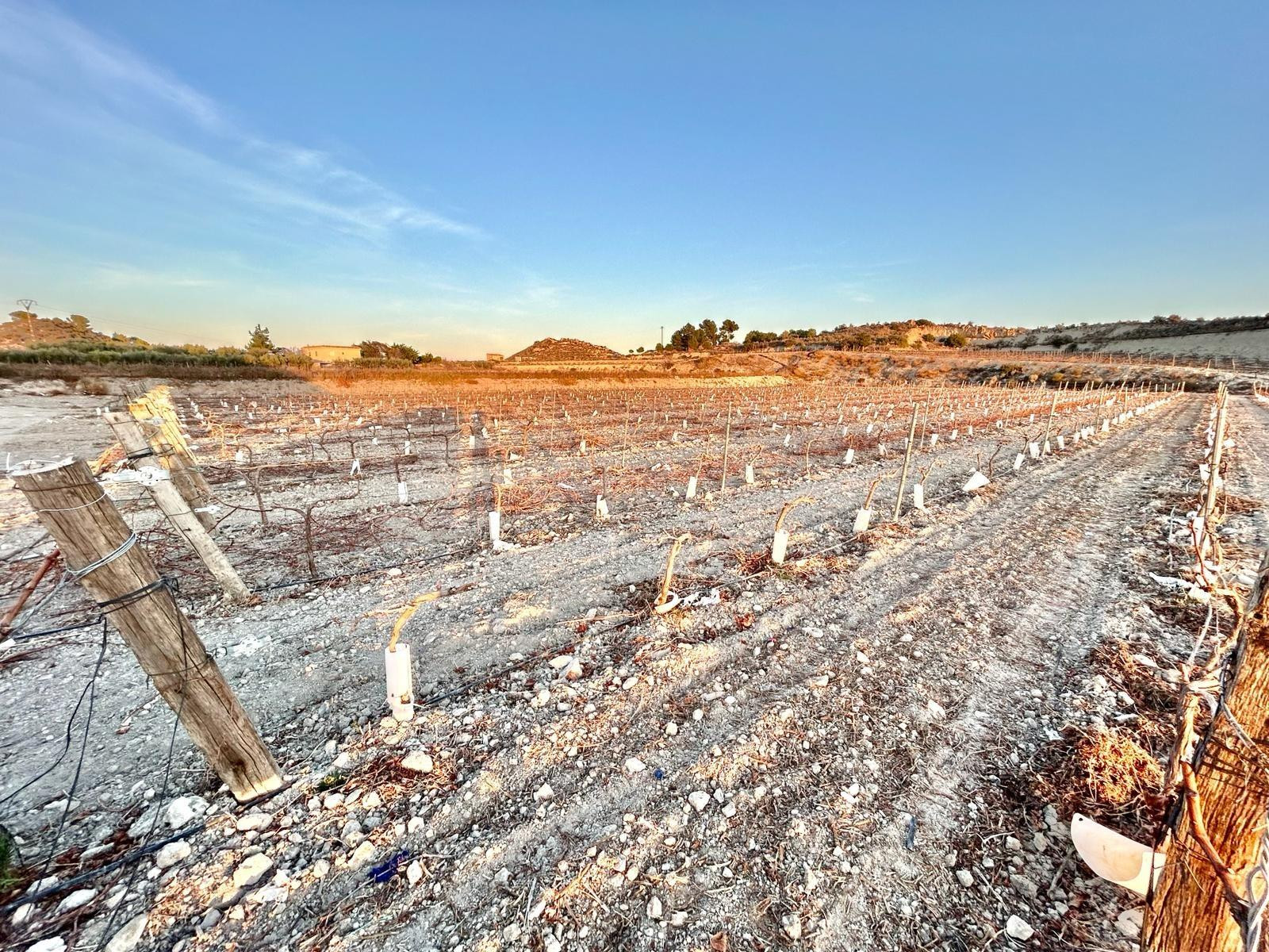 Terreno rural en venta - BETIES - foto 5