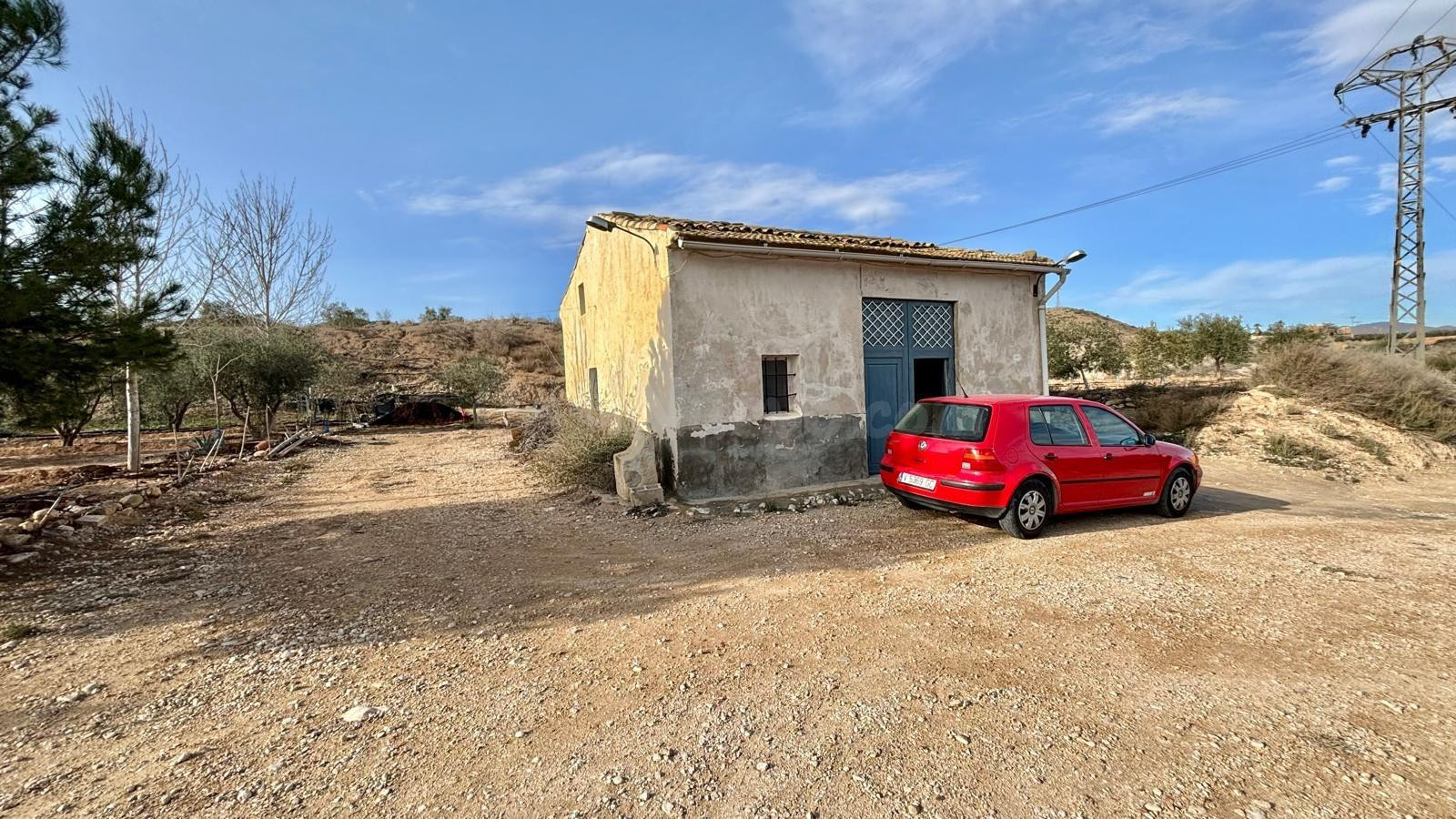 FINCA RÚSTICA EN ASPE - foto 2