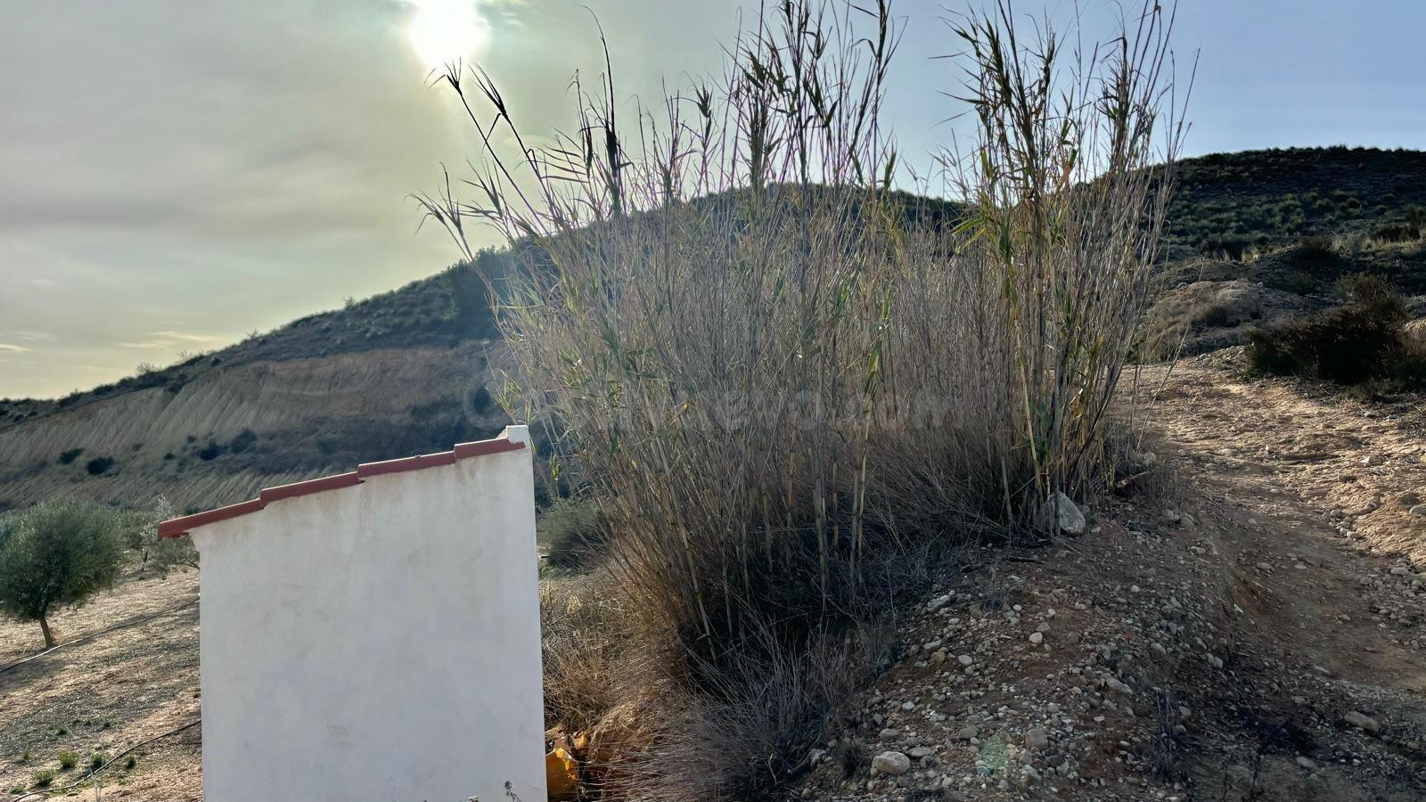 FINCA RÚSTICA EN ASPE - foto 3