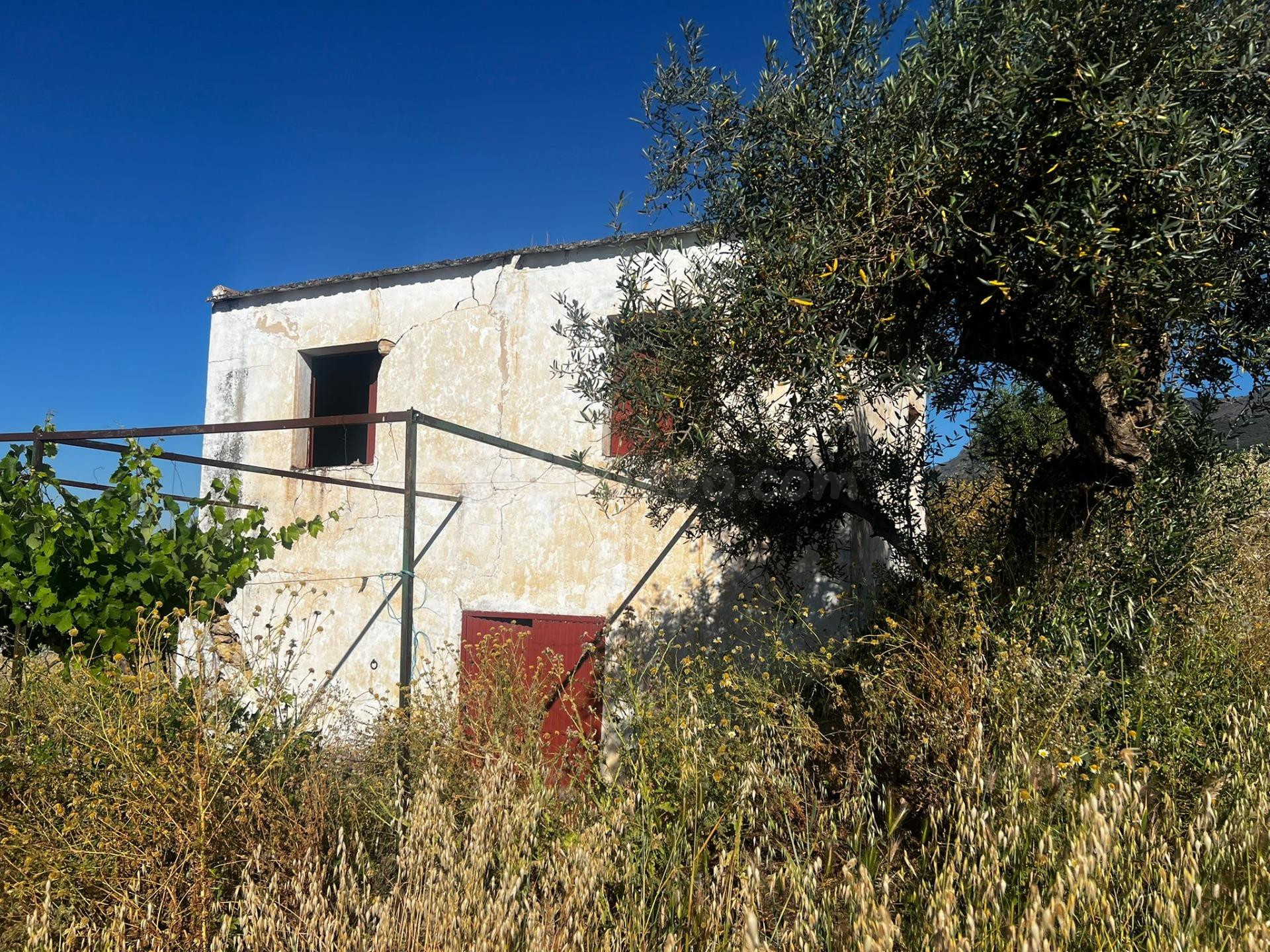 Parcela Pate Urbana y Parte Rústica - Finca - foto 4