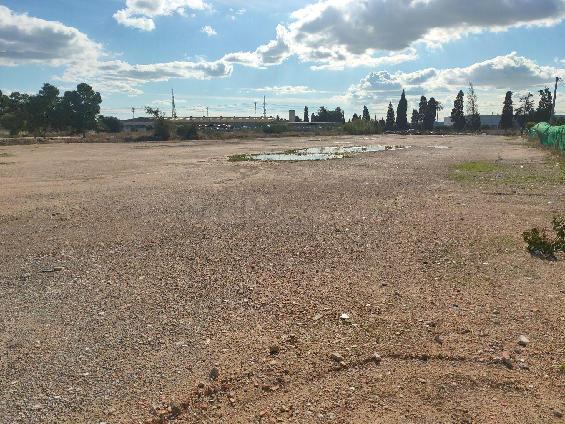 Terreno Rústico en alquiler - Ciudad de Asís - Font-Calent - - foto 3