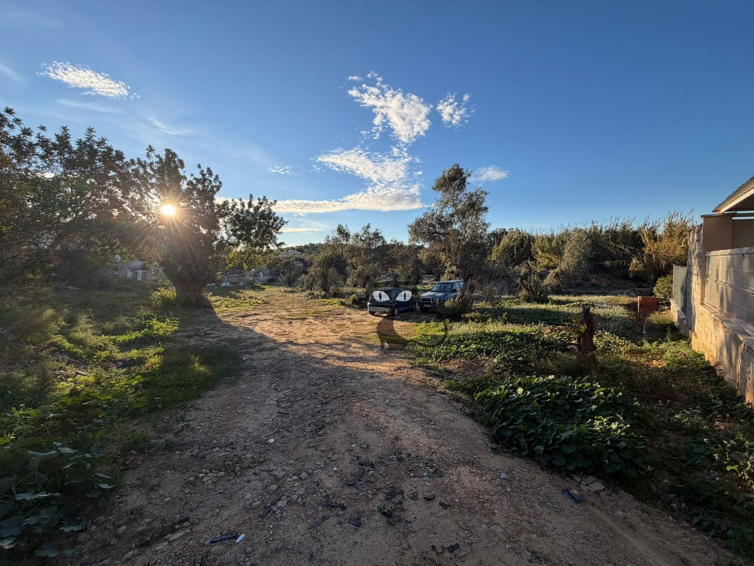 Terreno rural 4324m² en venta - Zona Monte REAL-Calicanto - foto 4