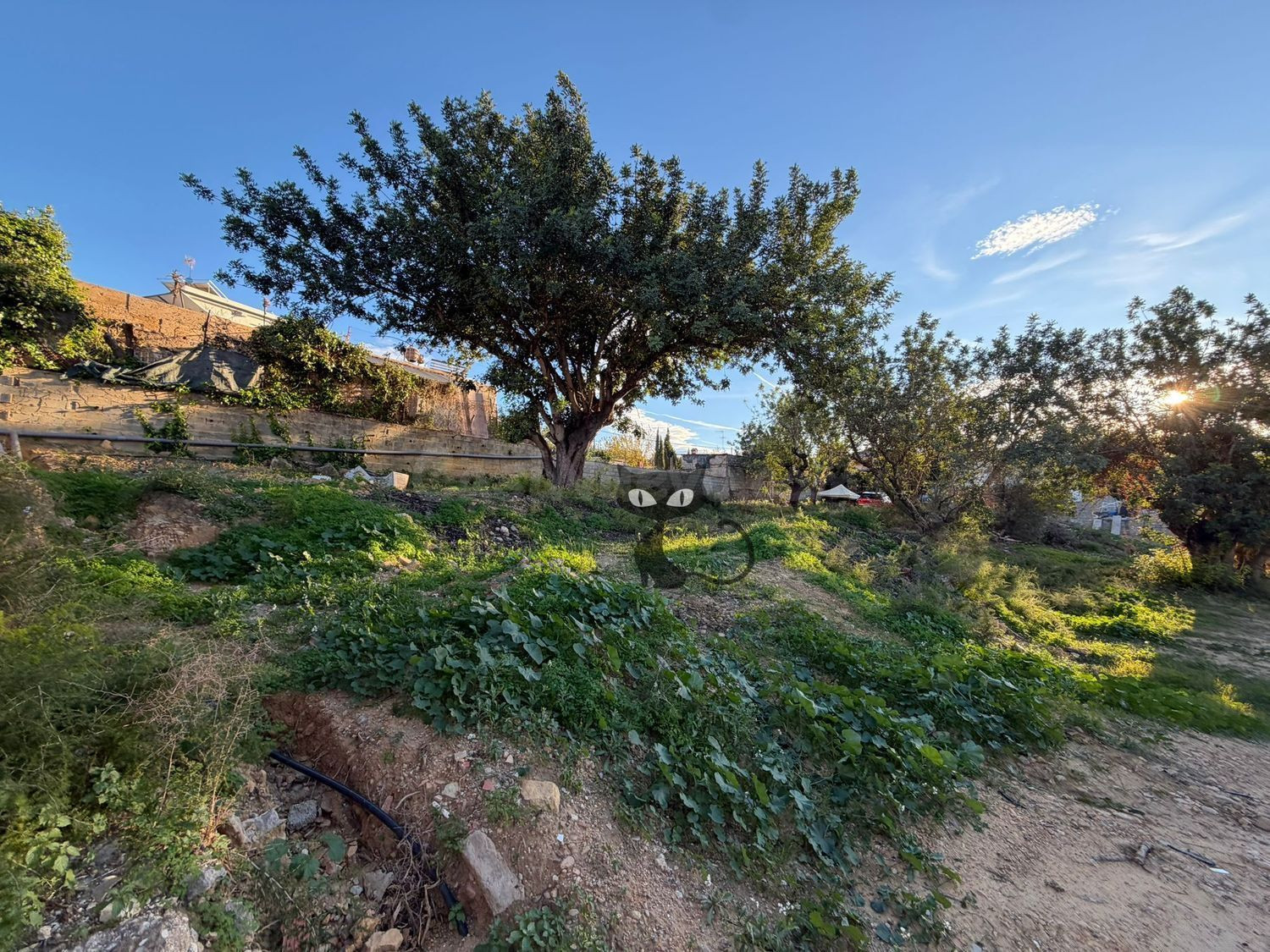 Terreno rural 4324m² en venta - Zona Monte REAL-Calicanto - foto 5