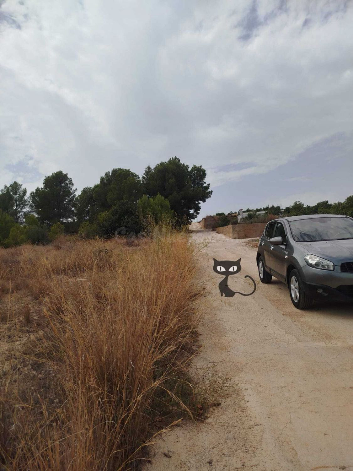 Terreno rural 3700m² en venta - Zona Monte REAL-Calicanto - foto 2