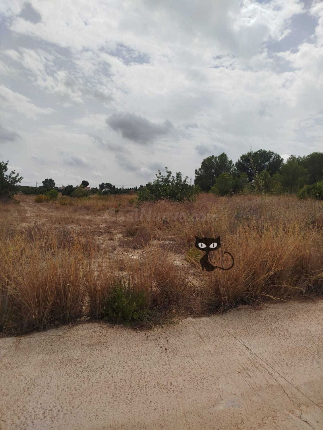 Terreno rural 3700m² en venta - Zona Monte REAL-Calicanto - foto 3