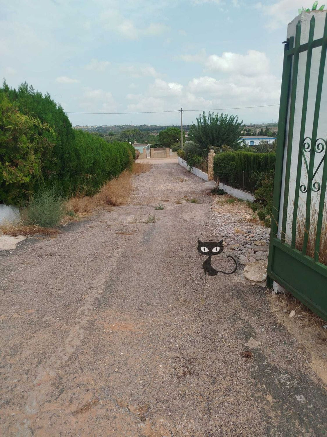 Terreno rural 3700m² en venta - Zona Monte REAL-Calicanto - foto 4