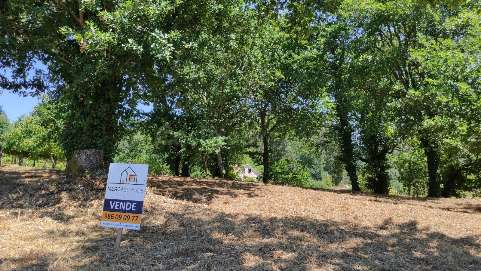 Solar 1695m² en venta - Barro