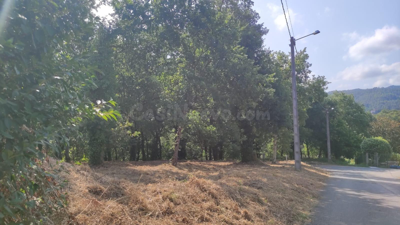 Solar 1695m² en venta - Barro - foto 3
