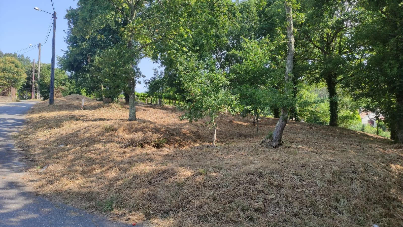 Solar 1695m² en venta - Barro - foto 4